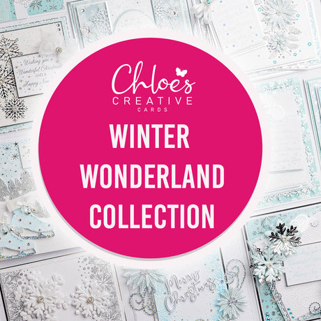 New Product Launch - the Winter Wonderland collection